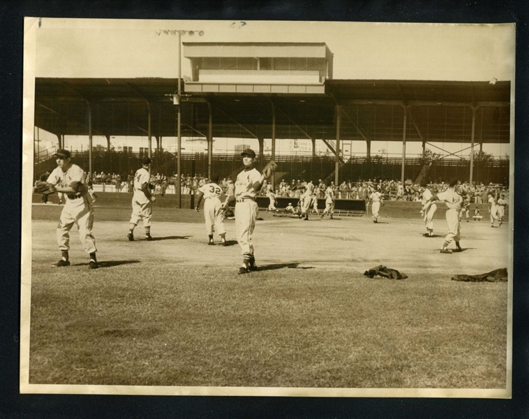 1953 ST. LOUIS CARDINALS On The Field In Spring Training Original News Photo