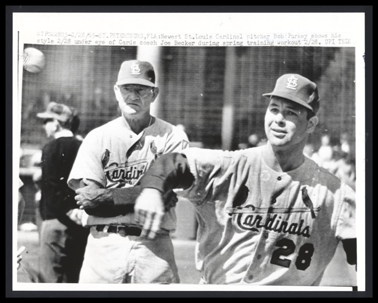 1965 St. Louis Cardinals BOB PURKEY & JOE BECKER Vintage Wire Photo