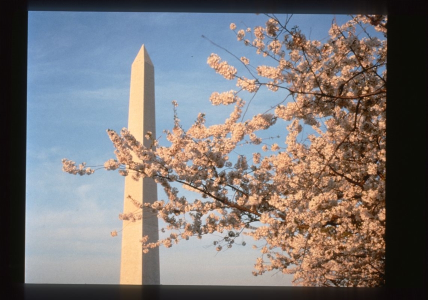 2000 WASHINGTON MONUMENT Original 35mm Slide Transparency