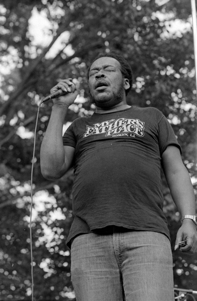 Strip of (6) 1970s JAMES COTTON & FANS Live Original 35mm Photo Negatives bn