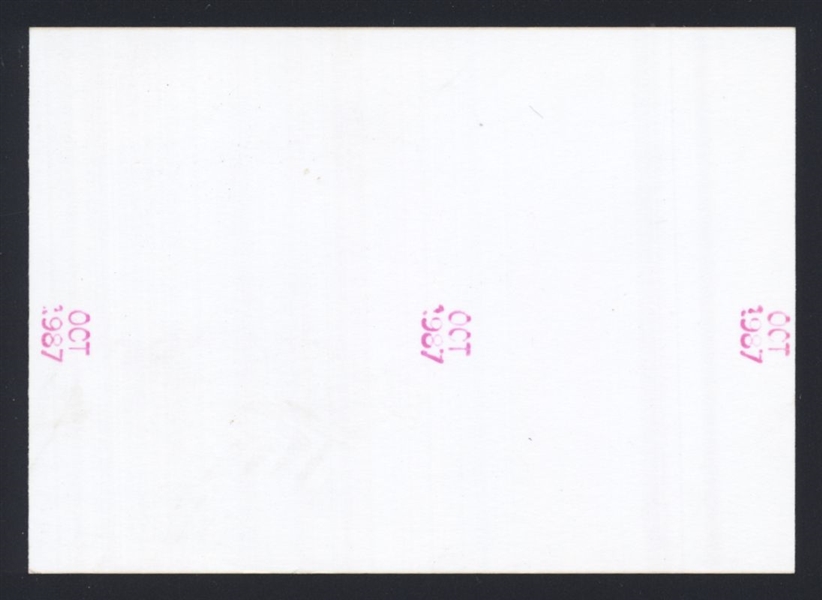 1987 UNIDENTIFIED Vintage Original Photo bn