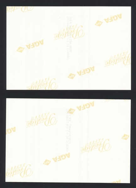 Lot (2) 1999 BEACH BOYS MIKE LOVE BRUCE JOHNSTON DAVID MARKS Original Photos bn