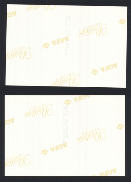 Lot (2) 1999 BEACH BOYS MIKE LOVE BRUCE JOHNSTON DAVID MARKS Original Photos bn