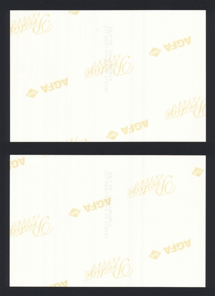 Lot (2) 1999 BEACH BOYS MIKE LOVE BRUCE JOHNSTON DAVID MARKS Original Photos bn