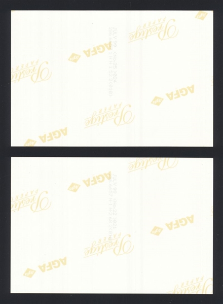 Lot (2) 1999 BEACH BOYS Live Concert MIKE LOVE BRUCE JOHNSTON Original Photos bn