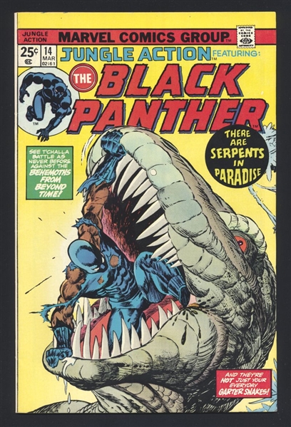 Jungle Action #14 VF Black Panther 1975 Marvel Comic Book