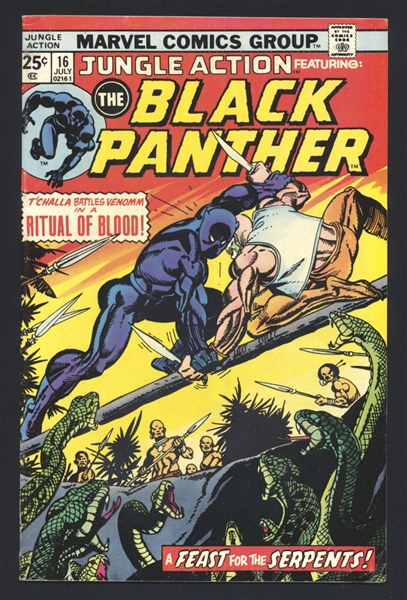 Jungle Action #16 FN Black Panther 1975 Marvel Comic Book